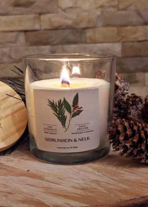 Kinkepakk Tervix Küünal ja salvid-Eesti toode - Image 5